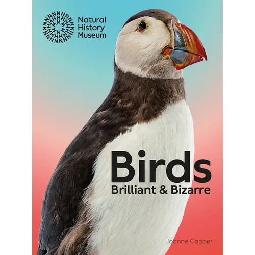 Birds: Brilliant and Bizarre - Paperback