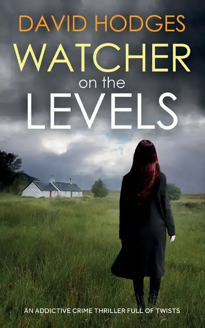 WATCHER ON THE LEVELS an addictive crime thriller full of twists - Paperback
