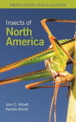 Insects of North America - Paperback