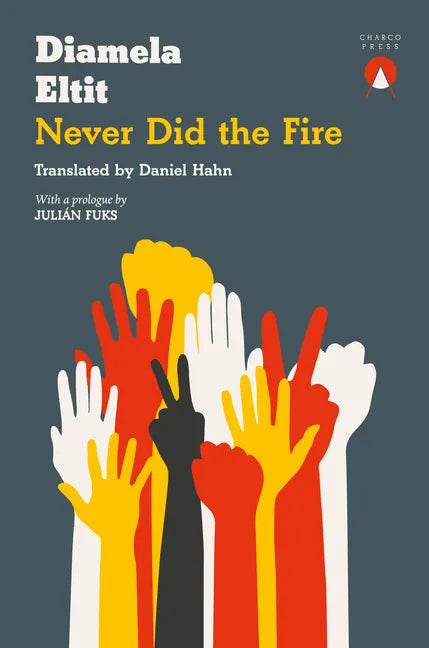 Never Did the Fire - Paperback