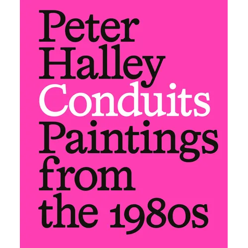Peter Halley: Conduits: Paintings from the 1980s - Paperback