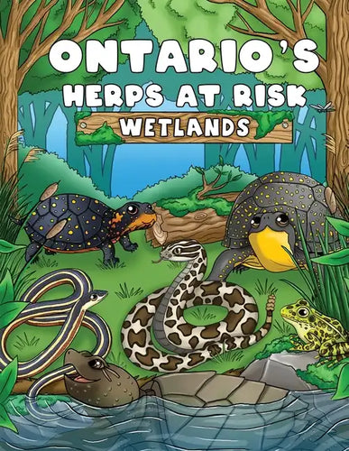 Ontario's Herps At Risk Wetlands - Paperback
