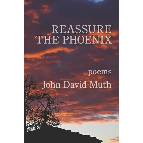 Reassure the Phoenix - Paperback