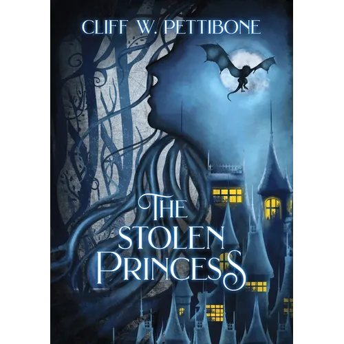 The Stolen Princess: A Kuin of Hilcha Adventure - Paperback