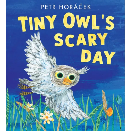 Tiny Owl's Scary Day