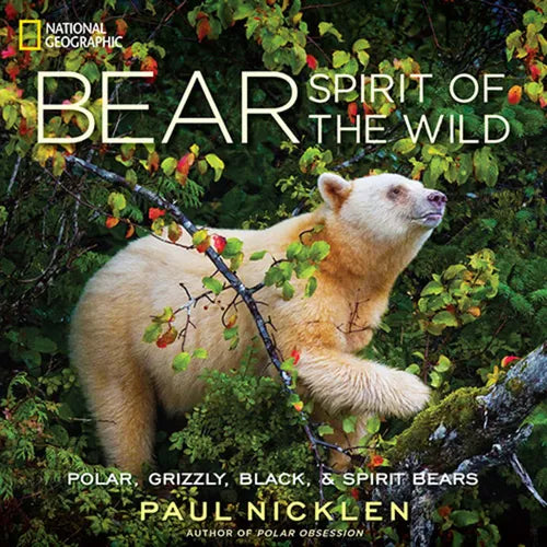 Bear: Spirit of the Wild - Hardcover