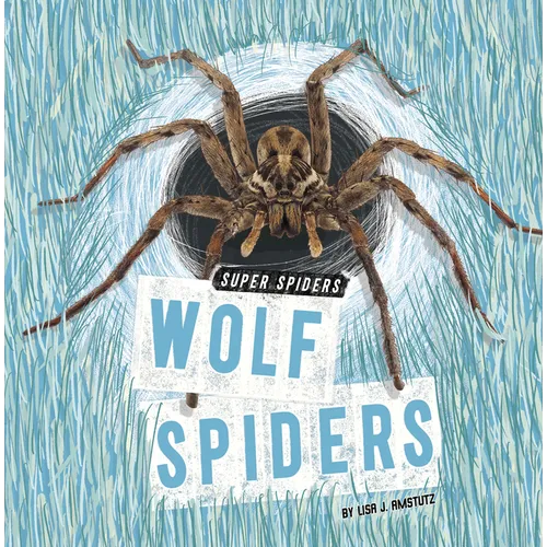Wolf Spiders - Library Binding