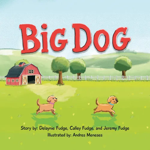 Big Dog - Paperback