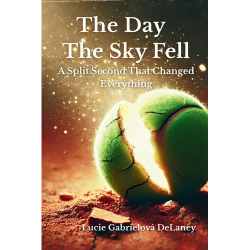 The Day The Sky Fell: A Split Second That Changed Everything - Paperback