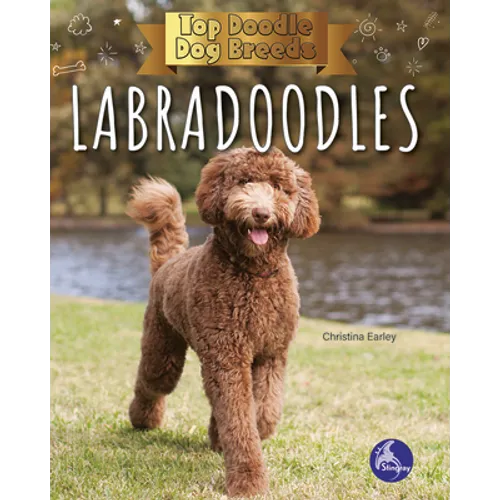 Labradoodles - Paperback