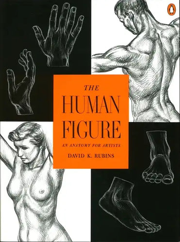 The Human Figure: An Anatomy for Artists - Paperback