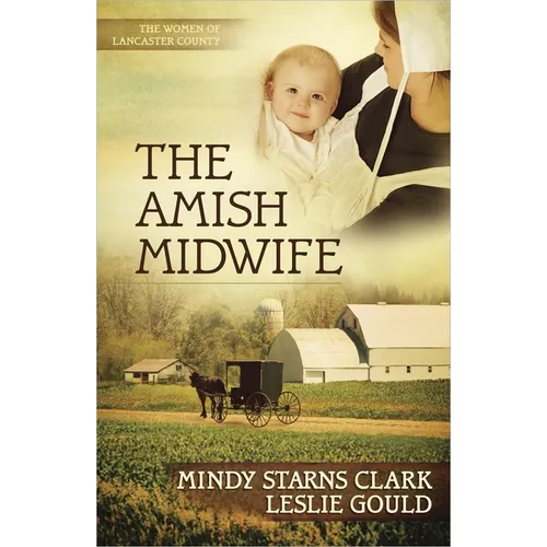 The Amish Midwife: Volume 1 - Paperback