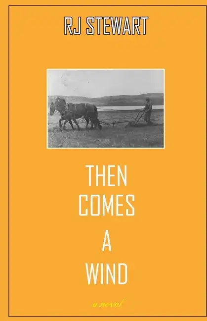 Then Comes a Wind - Paperback