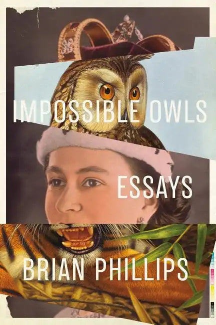Impossible Owls: Essays - Paperback