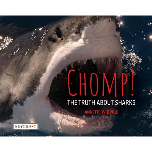 Chomp! the Truth about Sharks - Hardcover