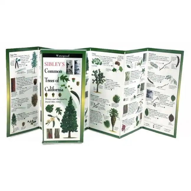 Sibley's Trees of California