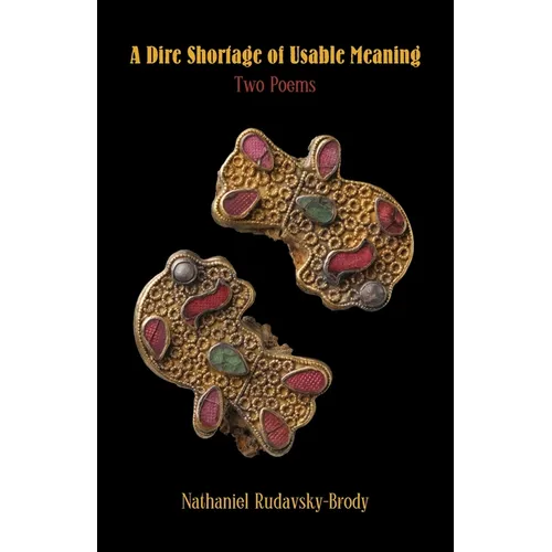 A Dire Shortage of Usable Meaning - Paperback