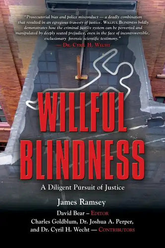 Willful Blindness: A Diligent Pursuit of Justice - Paperback