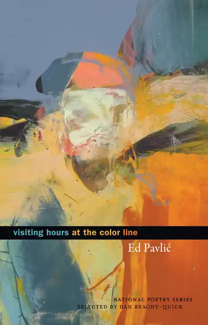 Visiting Hours at the Color Line - Paperback
