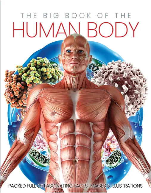 The Big Book of the Human Body - Hardcover
