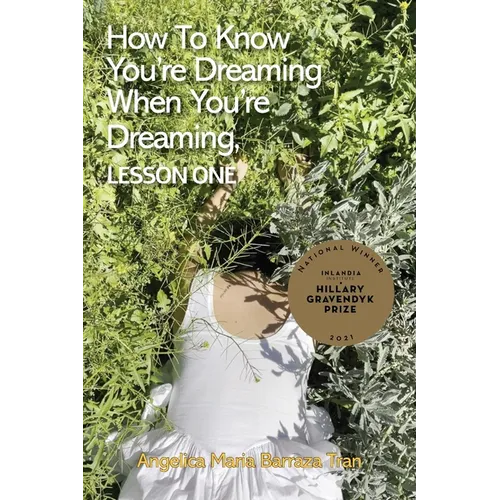 How to Know You're Dreaming When You're Dreaming, lesson one - Paperback