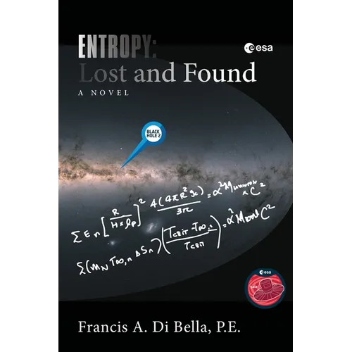 Entropy: Lost and Found - Paperback