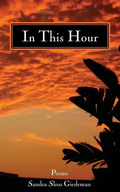 In This Hour - Paperback