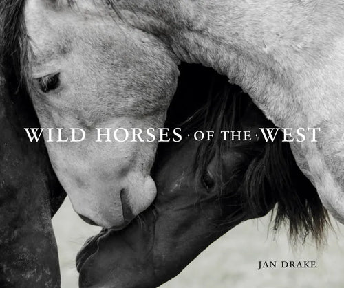 Wild Horses of the West - Hardcover
