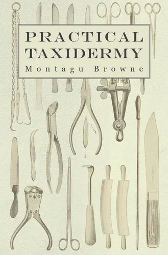 Practical Taxidermy: A Manual of Instruction to the Amateur in Collecting, Preserving, and Setting up Natural History Specimens of All Kind - Paperback
