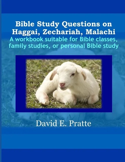 Bible Study Questions on Haggai, Zechariah, Malachi: A workbook suitable for Bible classes, family studies, or personal Bible study - Paperback