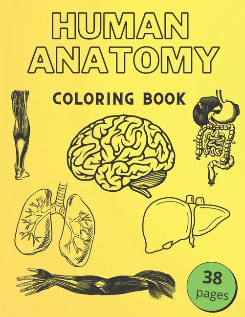 Human Anatomy Coloring Book: Informative Guide To The Human Body (internal organs the nervous system, reproductive systems and limbs) For Kids - Paperback