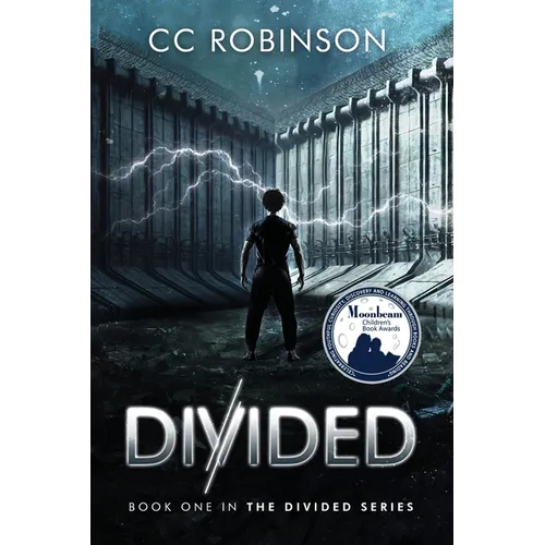 Divided: A Dystopian Adventure - Paperback