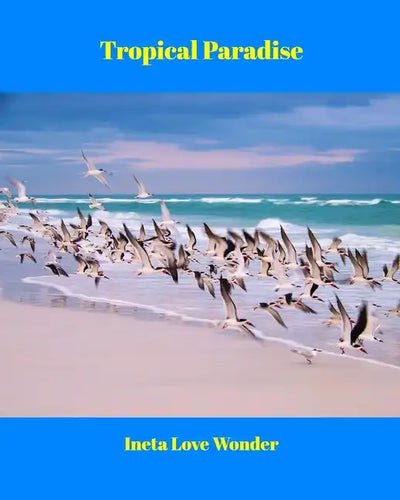 Tropical Paradise - Paperback