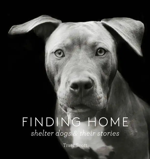 Finding Home: Shelter Dogs and Their Stories - Hardcover