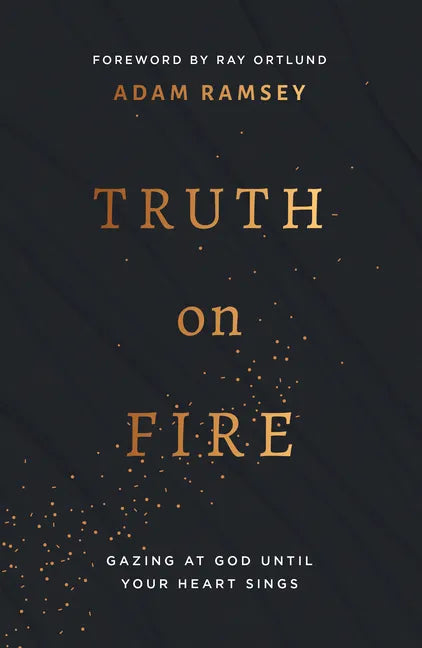 Truth on Fire: Gazing at God Until Your Heart Sings - Paperback