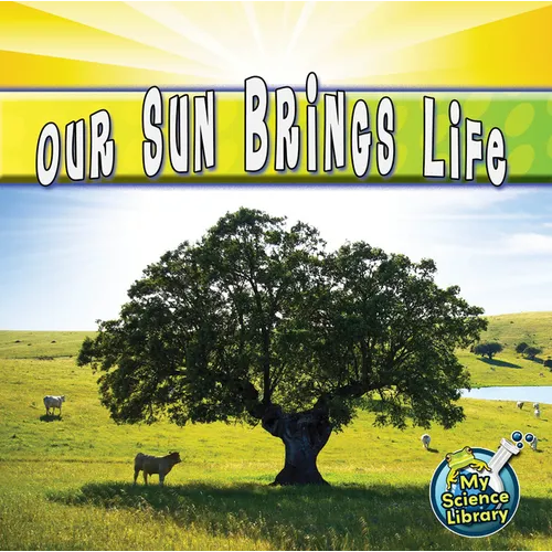 Our Sun Brings Life - Paperback
