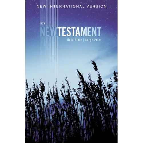 NIV, Outreach New Testament, Large Print, Paperback - Paperback