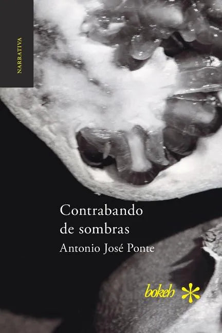 Contrabando de sombras - Paperback