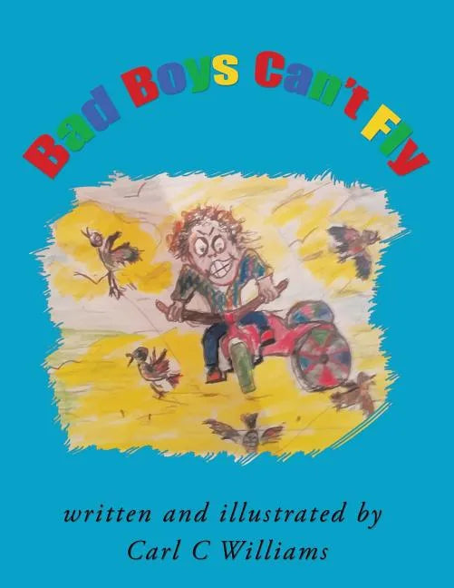Bad Boys Can't Fly - Paperback