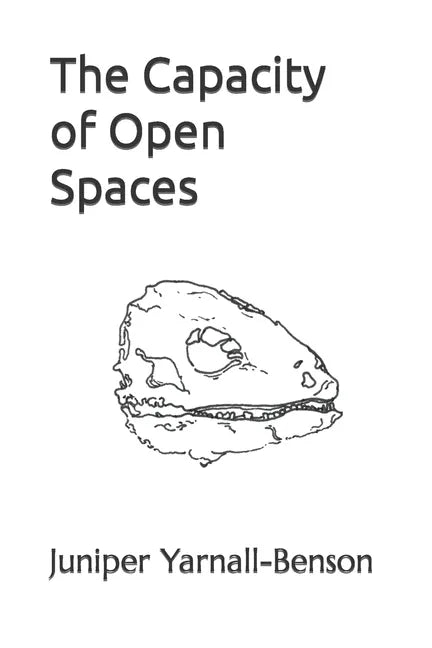 The Capacity of Open Spaces - Paperback