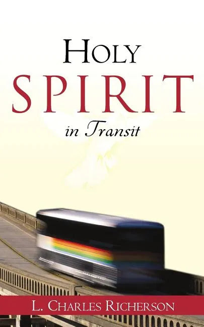 Holy Spirit in Transit - Paperback