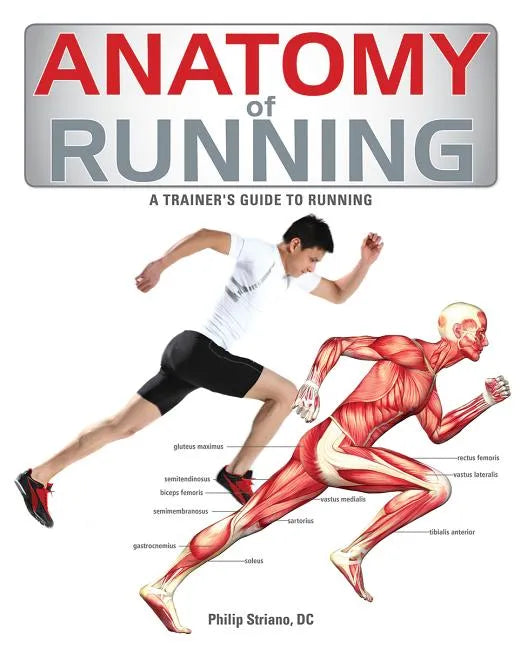 Anatomy of Running - Paperback