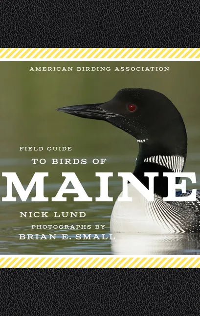 American Birding Association Field Guide to Birds of Maine - Paperback