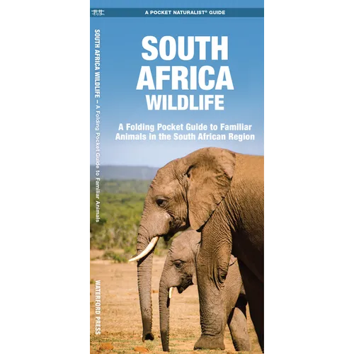 South Africa Wildlife: A Folding Pocket Guide to Familiar Animals in the South African Region - Paperback
