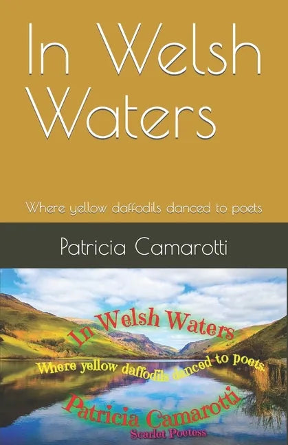 In Welsh Waters: Where yellow daffodils danced to poets - Paperback