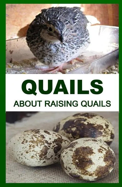 Quails: About Raising Quails - Paperback