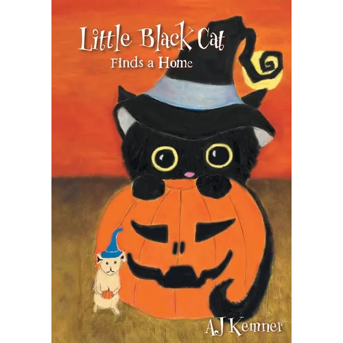 Little Black Cat Finds a Home - Paperback