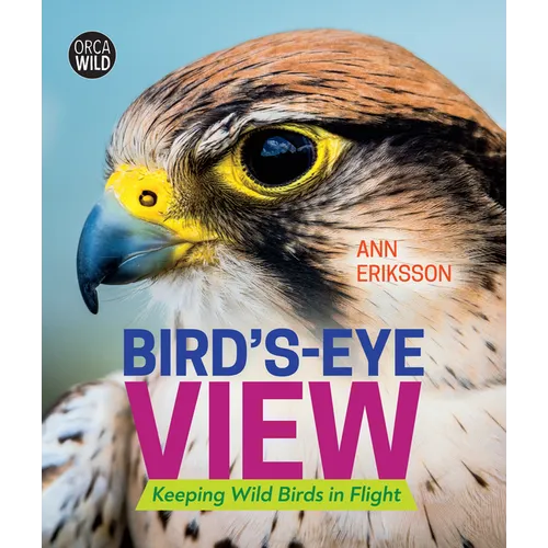 Bird's-Eye View: Keeping Wild Birds in Flight - Hardcover