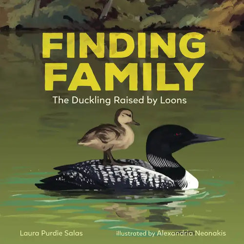 Finding Family: The Duckling Raised by Loons - Hardcover
