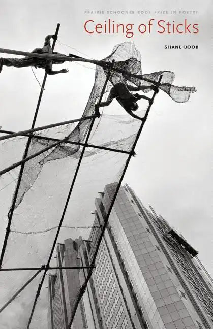 Ceiling of Sticks - Paperback